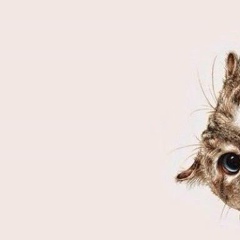 Lizavetka Monastyreva, 08.10, Алматы