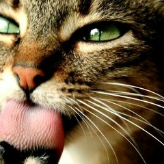 Наташа Сальникова, 28.03, Москва