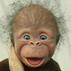 Александр Афанасов, 09.05.1983, Kuito