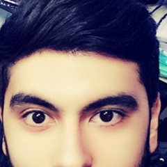 Elvin Mamedov, 31.07, Гянджа