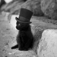 Александр Горин, 10.06, Санкт-Петербург