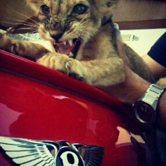 Азат Жанат, 02.05.1991