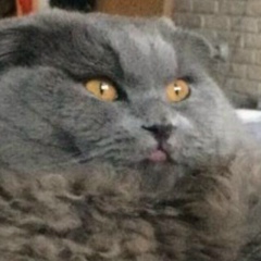 Даша Бегишева, 05.10, Санкт-Петербург