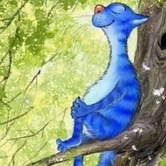 Наталья Звягинцева, Ростов-на-Дону