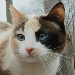 Андрей Смирнов, 13.11.1983, Москва