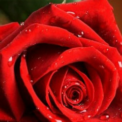 Виктор Иванов, 29.07.1984, Кентау