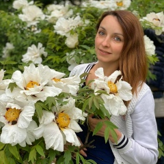 Елена Михайлова, 06.10, Киев