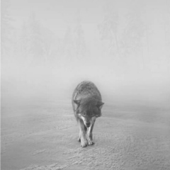 Аслан Ерланулы, 04.02, Зайсан