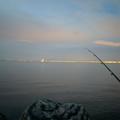 Василий Кольцов, 12.03.1988, Санкт-Петербург