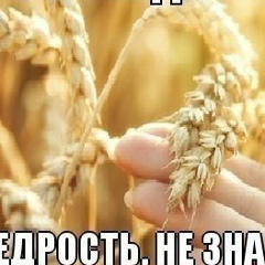 Наташа Алексеева, 01.07.1992, Санкт-Петербург