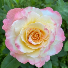 Елизавета Панова, 31.10, Магнитогорск