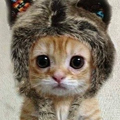 Asel Ihsanova, 21.05, Атырау