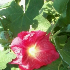 Самал Казимова, 31.12, Павлодар