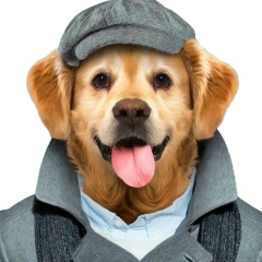 Илья Зав, 07.02, Москва