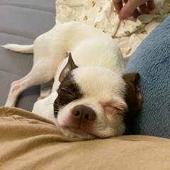 Андрей , 12.12, Нижний Новгород