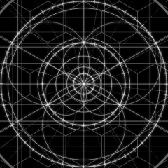 Rustam Romanov, Москва