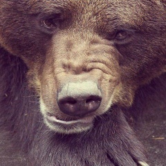 Куаныш Касаинов, 12.06.1987, Алматы