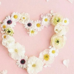 Тамила Исаева, 13.08, Владикавказ