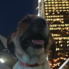 Инна Арзамазова, 31.12, Москва