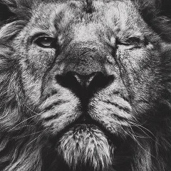 Адам Гайрабеков, 19.09, Москва