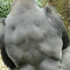 Сергей Яхницкий, Шымкент