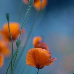 Ирина Гончарук, 28.11, Оренбург