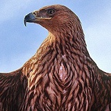 Михаил Кузьмин, 17.12, Санкт-Петербург