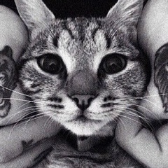 Nartay Simagambetov, 13.03