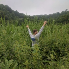 Армен Манукян, 28.11, Ереван