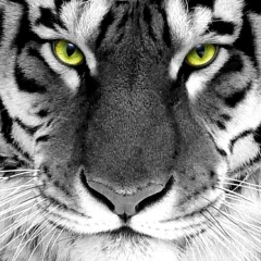 Юрий Ларионов, 26.07.1986, Москва