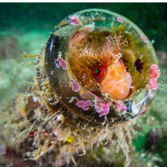 Роман Николаевич, 01.02.1991, Днепр (Днепропетровск)