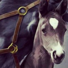 Куаныш Абуов, 05.03.1950, Астана