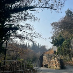 Адин Адин, Нальчик