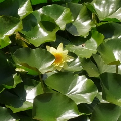 Оксана Портная, 16.02.1987, Харьков