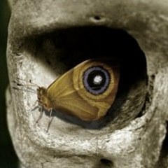 Павел Белецкий, 09.04.1989, Киев