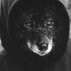 Евгений Лукьянов, 31.01, Санкт-Петербург