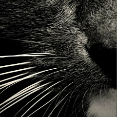 Владимир Пастухов, 01.06