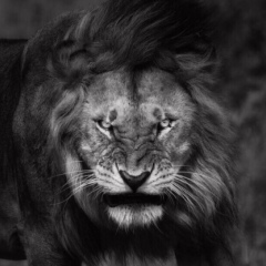 Петя Гора, 17.08.1997, Краснодар