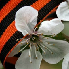 Сергей Шипилин, 06.04, Новосибирск