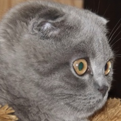 Николай Хомичук, 19.04, Киев