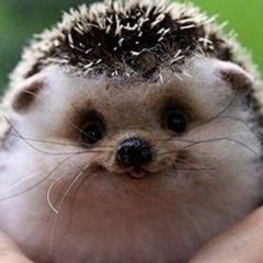 Надежда Юшко, Пятигорск