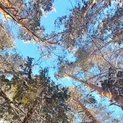 Павел Шулаев, 15.02, Москва