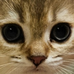 Ильяс Басеров, 04.07.1986, Москва