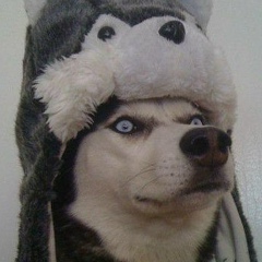 Мад Стрик, 13.02, Москва