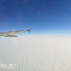 Ирина Воскресенская-Зайончковская, 17.04