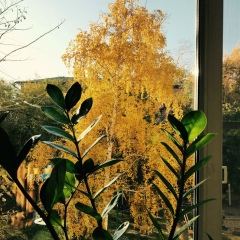 Ольга Шигрина, 15.07, Усть-Каменогорск