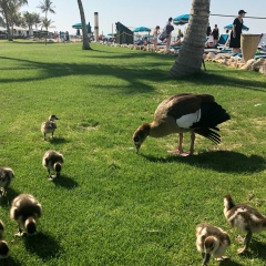 София Зимина, 03.04.1941, Москва