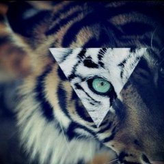 Maks Радкевич, 16.05.1986, Жезказган