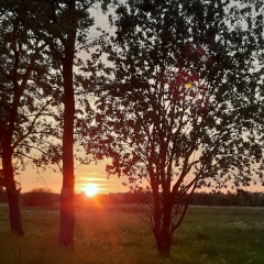 Анна Сергеенко, Санкт-Петербург