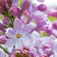 Алена Павловская, 04.04, Сочи